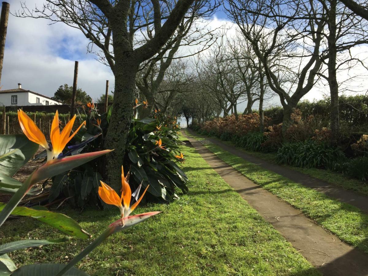 라고아 Azores Protea House 아파트 외부 사진