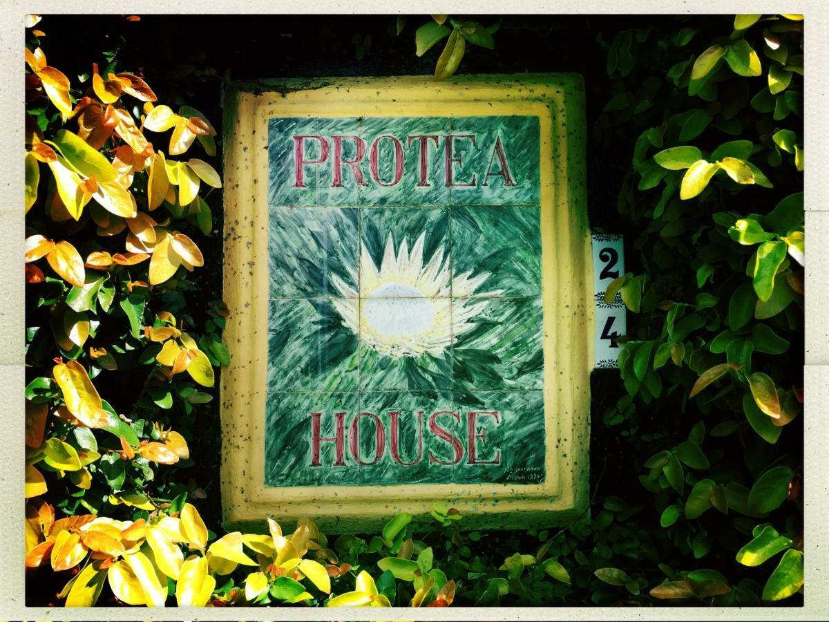 라고아 Azores Protea House 아파트 외부 사진
